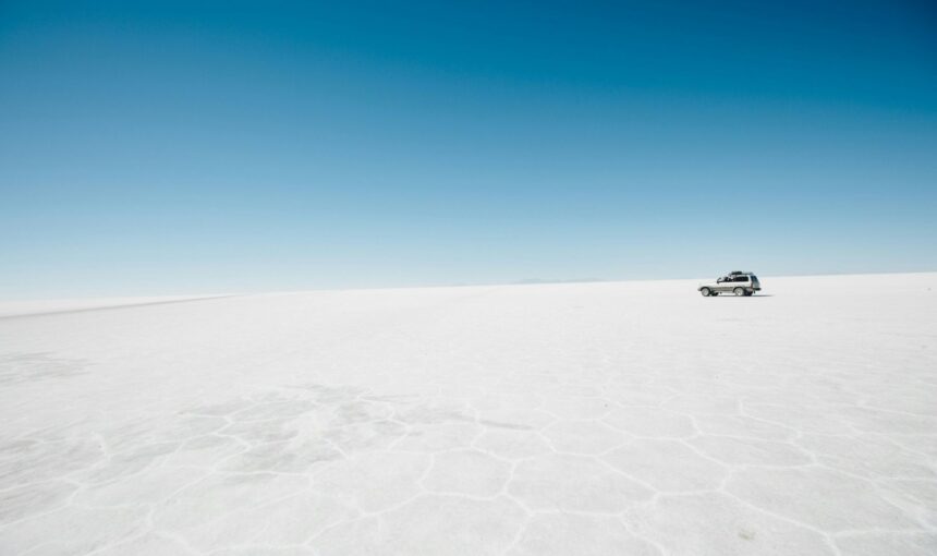 Salar de Uyuni (1 día)